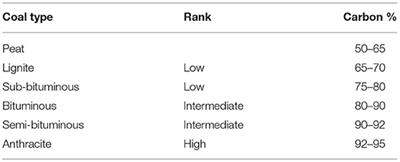 Coal Miners and Lung Cancer: Can Mortality Studies Offer a Perspective on Rat Inhalation Studies of Poorly Soluble Low Toxicity Particles?